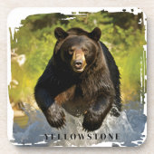 Yellowstone Bär Getränkeuntersetzer (Vorderseite)