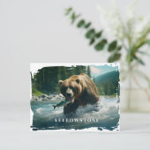 Yellowstone Bären Postkarte (Stehend Vorderseite)