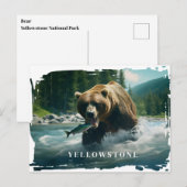Yellowstone Bären Postkarte (Vorne/Hinten)