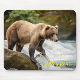 Yellowstone Bear Mouse Pad Mousepad