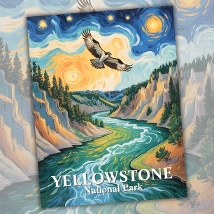 Yellowstone Bird Osprey Van Gogh Starry Night Postkarte