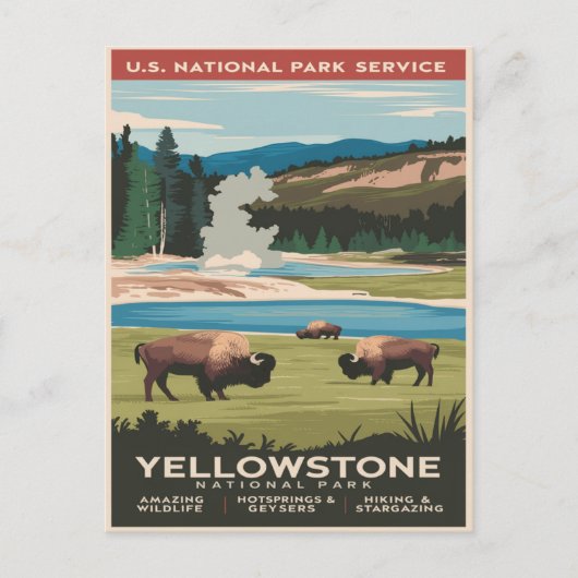 Yellowstone Bison am See Postkarte (Vorderseite)