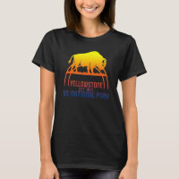 Yellowstone Bison Buffalo National Park Camping So