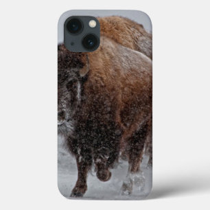Yellowstone-Bison Case-Mate iPhone Hülle