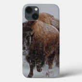 Yellowstone-Bison Case-Mate iPhone Hülle (Rückseite)
