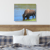 Yellowstone Bison Drinks im See Leinwanddruck (Insitu (Schlafzimmer))