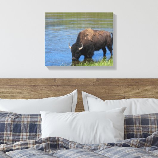 Yellowstone Bison Drinks im See Leinwanddruck (Insitu (Schlafzimmer))
