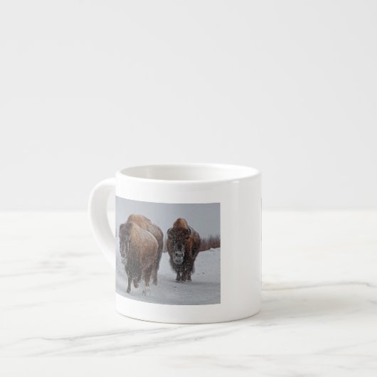 Yellowstone-Bison Espressotasse (Vorderseite Links)