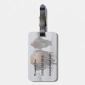 Yellowstone-Bison Gepäckanhänger (Rückseite vertikal)