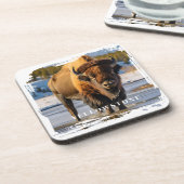 Yellowstone Bison Getränkeuntersetzer (Linke Seite)