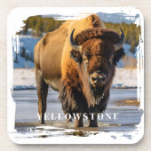 Yellowstone Bison Getränkeuntersetzer (Vorderseite)