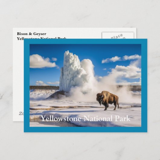 Yellowstone Bison & Geyser Postkarte (Vorne/Hinten)