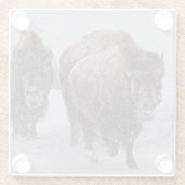 Yellowstone-Bison Glasuntersetzer (Rückseite)