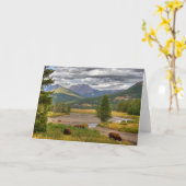 Yellowstone-Bison Karte (Gelbe Blume)