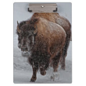 Yellowstone-Bison Klemmbrett (Vorderseite)