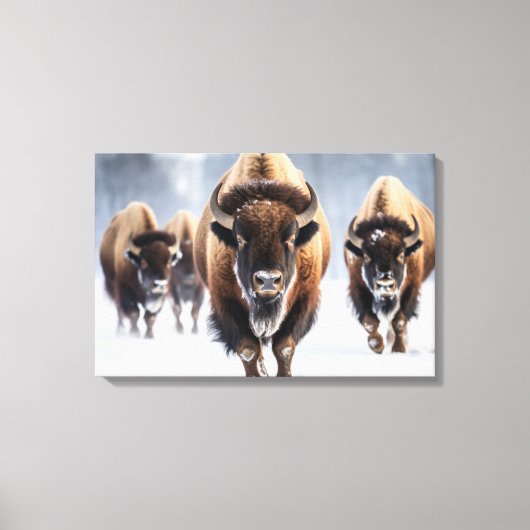 Yellowstone Bison Leinwand Art (Vorderseite)