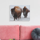 Yellowstone Bison Leinwanddruck (Insitu (Wohnzimmer))