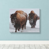 Yellowstone Bison Leinwanddruck (Insitu (Holzboden))