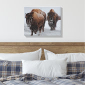 Yellowstone Bison Leinwanddruck (Insitu (Schlafzimmer))