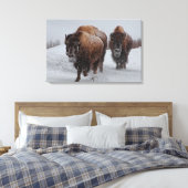 Yellowstone Bison Leinwanddruck (Insitu (Schlafzimmer))