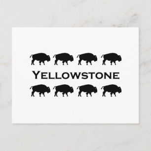 Yellowstone-Bison-Logo Postkarte