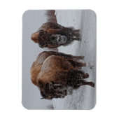 Yellowstone Bison Magnet (Vertikal)