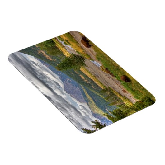 Yellowstone Bison Magnet (Rechte Seite)