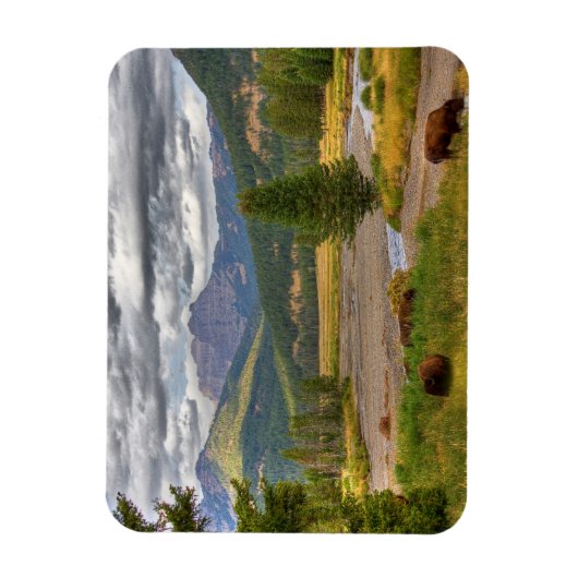 Yellowstone Bison Magnet (Vertikal)