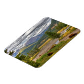 Yellowstone Bison Magnet (Linke Seite)