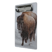 Yellowstone-Bison Mini Klemmbrett (Gewinkelt2)
