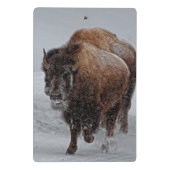 Yellowstone-Bison Mini Klemmbrett (Rückseite)