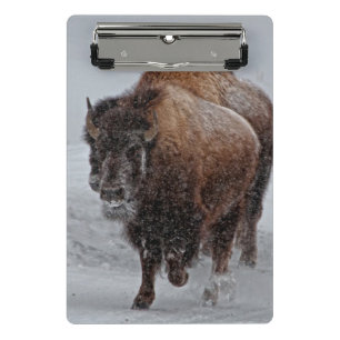 Yellowstone-Bison Mini Klemmbrett