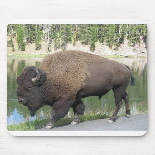 Yellowstone-Bison Mousepad (Vorne)
