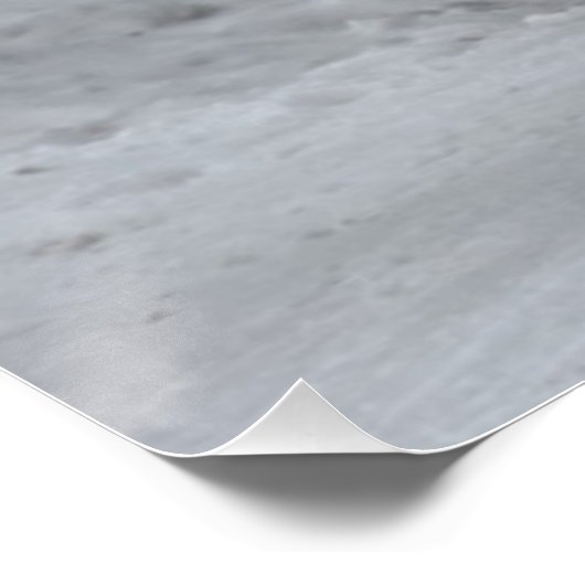 Yellowstone Bison Poster (Ecke)