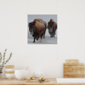 Yellowstone Bison Poster (Küche)