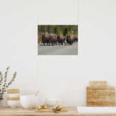 Yellowstone Bison Poster (Küche)
