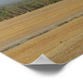 Yellowstone Bison Poster (Ecke)