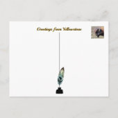 Yellowstone Bison Postkarte (Rückseite)