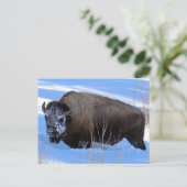 Yellowstone Bison Postkarte (Stehend Vorderseite)