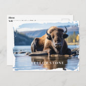 Yellowstone-Bison-Postkarte Postkarte (Vorne/Hinten)
