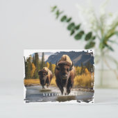 Yellowstone-Bison-Postkarte Postkarte (Stehend Vorderseite)