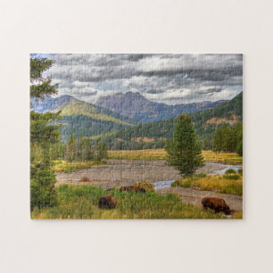 Yellowstone-Bison Puzzle