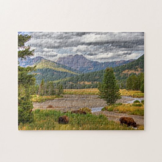Yellowstone-Bison Puzzle (Horizontal)