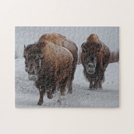 Yellowstone-Bison Puzzle (Horizontal)
