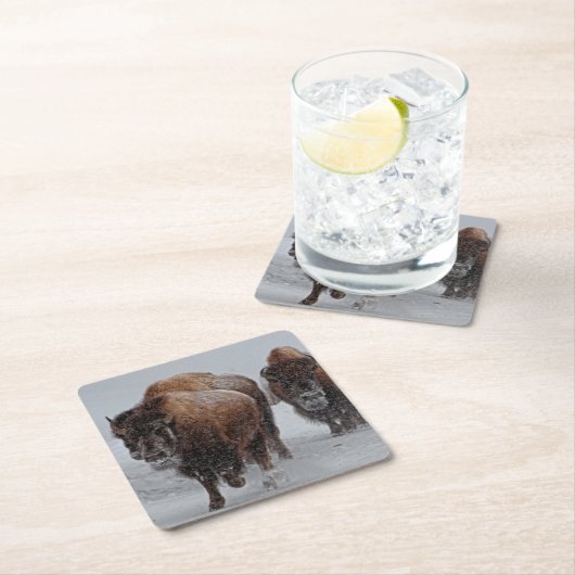 Yellowstone-Bison Rechteckiger Pappuntersetzer (Vor Ort)