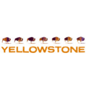 Yellowstone Bison Running T-Shirt
