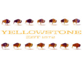 Yellowstone Bison Running T-Shirt