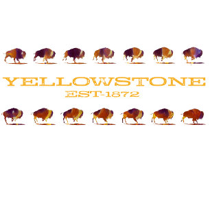 Yellowstone Bison Running T-Shirt