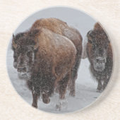 Yellowstone-Bison Sandstein Untersetzer (Vorne)