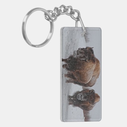 Yellowstone-Bison Schlüsselanhänger (Vorderseite links)